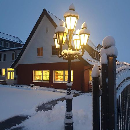 Fewo Winter In Der Villa Waldrand Mit Zwei Balkonen Бад-Вюнненберг Экстерьер фото